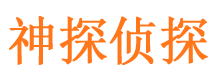 肃北外遇调查取证